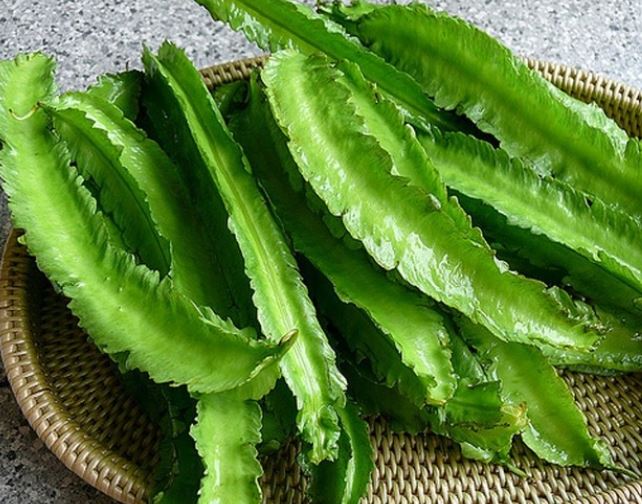 Thứ từng là thức ăn cho lợn bỗng hóa "vàng xanh", giá 1 triệu/kg vẫn "cháy hàng" 1 Thứ từng là thức ăn cho lợn bỗng hóa "vàng xanh", giá 1 triệu/kg vẫn "cháy hàng"