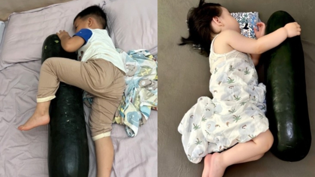 Giải mã trào lưu ngủ chung với… quả bí đao, bác sĩ: Mát, khỏe thật hay giả 4 kiểu người này cũng KHÔNG học theo 1 Giải mã trào lưu ngủ chung với… quả bí đao, bác sĩ: Mát, khỏe thật hay giả 4 kiểu người này cũng KHÔNG học theo