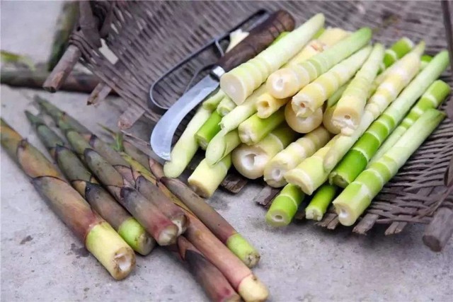 “Vạch mặt” 8 thực phẩm giấu toàn chất CỰC ĐỘC nhưng lại cực quen trong bếp 1 “Vạch mặt” 8 thực phẩm giấu toàn chất CỰC ĐỘC nhưng lại cực quen trong bếp